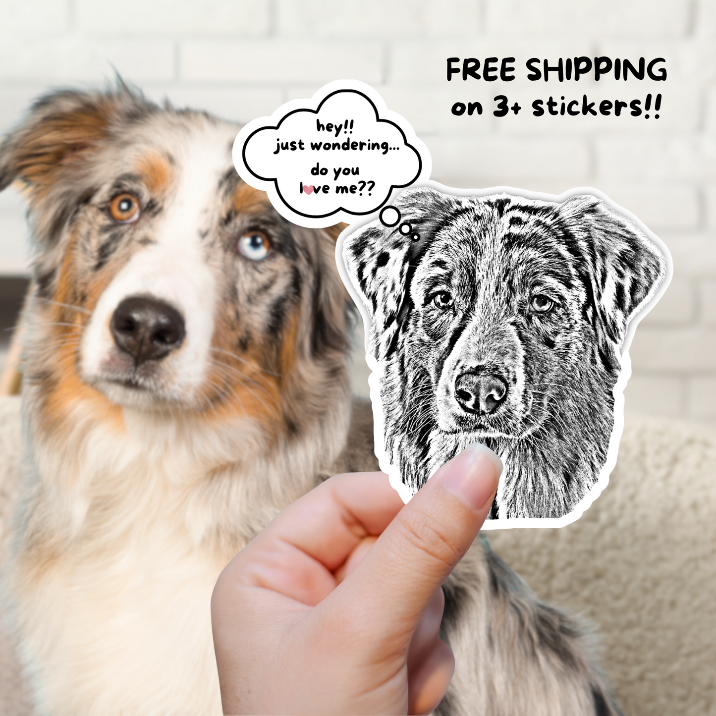 Custom Stickers Using Pet Photo – Cartoon