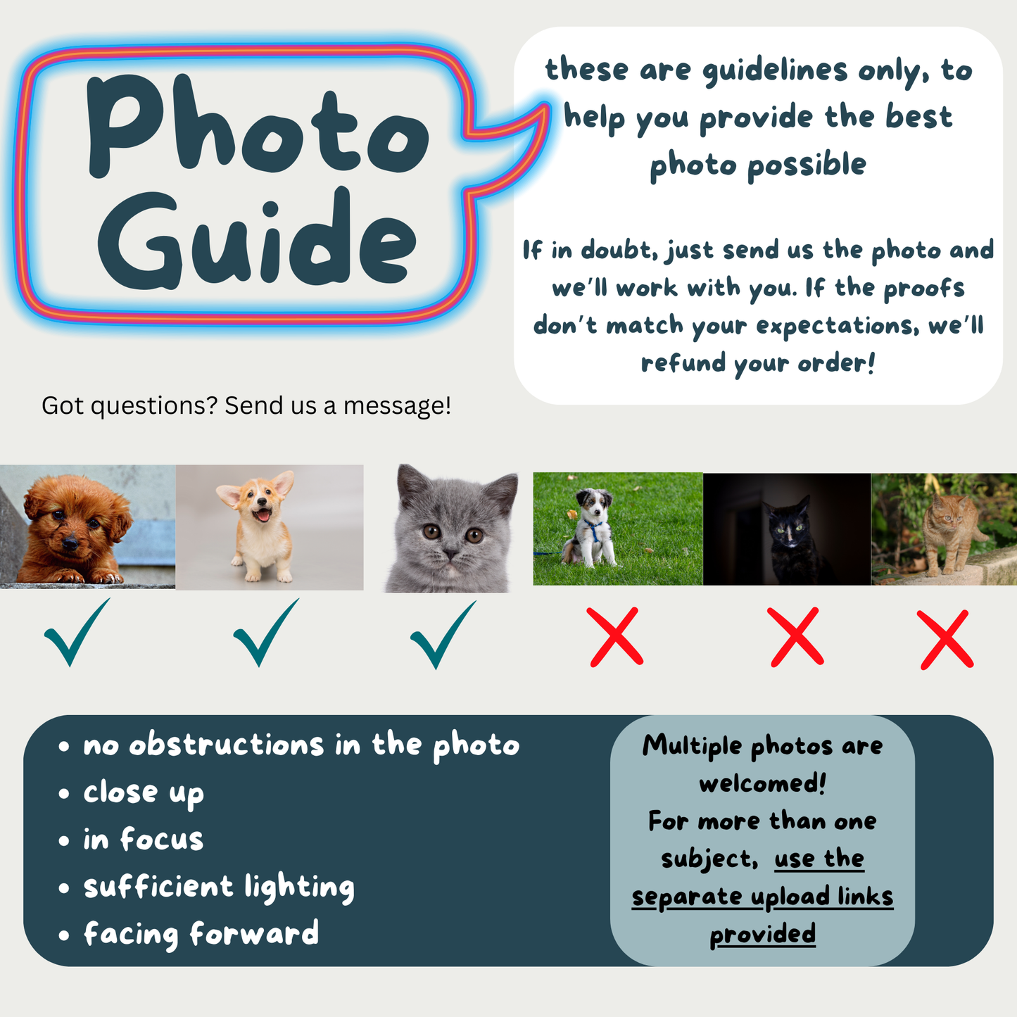 Custom Stickers Using Pet Photo – Graphic Drawing