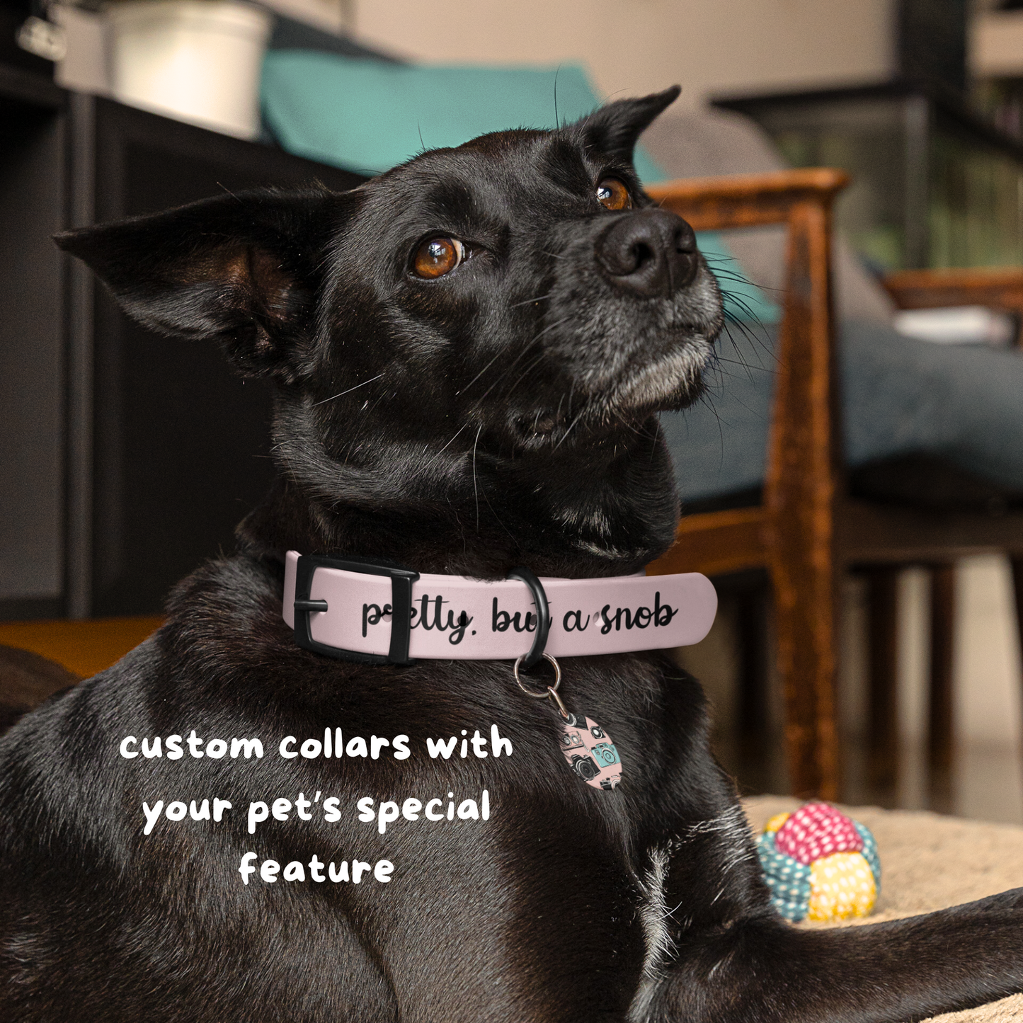 Custom Dog Collar with Phrase - Rose