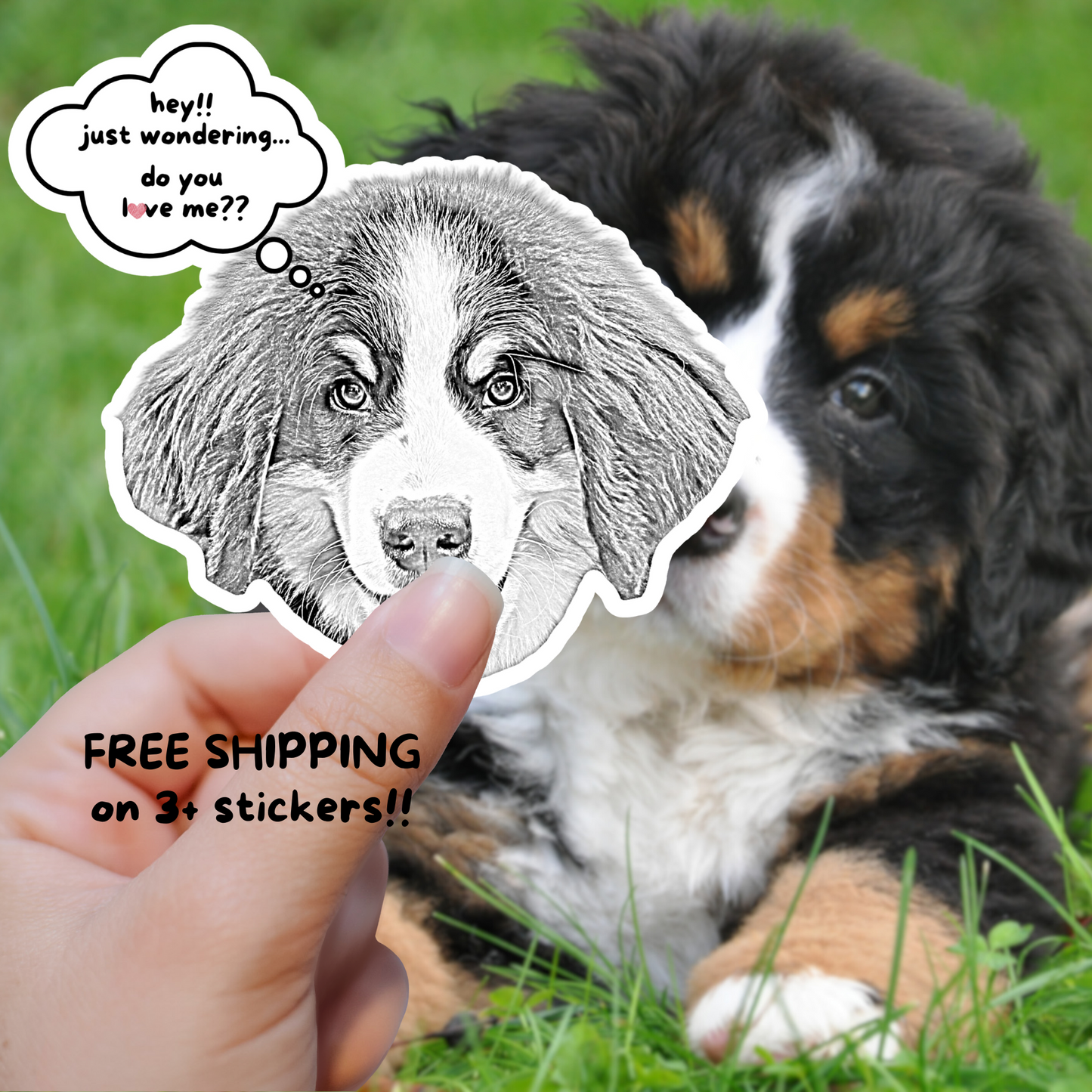 Custom Stickers Using Pet Photo – Cartoon