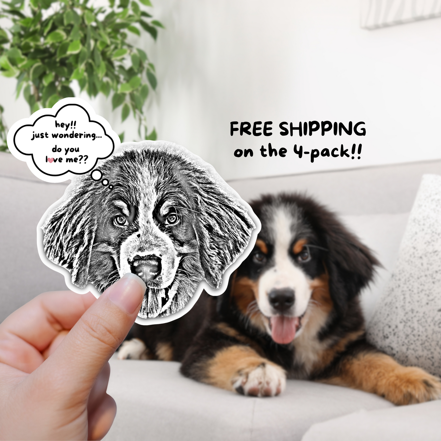 Custom Stickers Using Pet Photo – Graphic Drawing