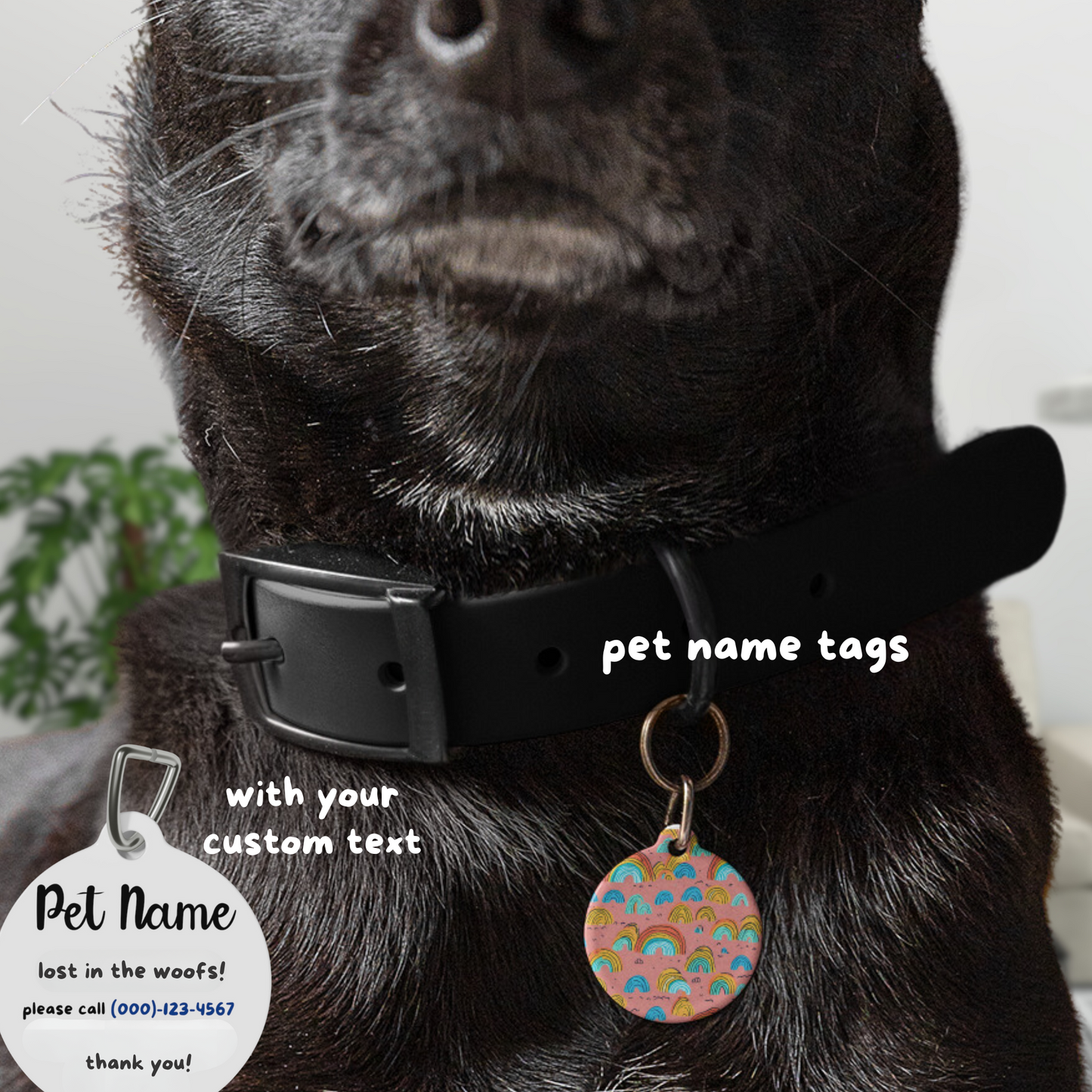 Étiquettes d'identification personnalisées pour chiens, chats et autres animaux de compagnie – Hawaiian Rainbows