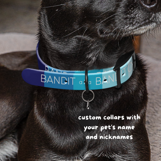 Custom Gradient Dog Collar with Name and Nickname – Summer Sky Blue