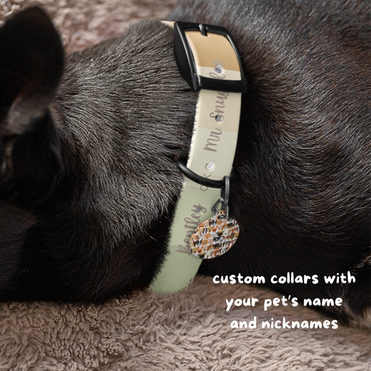 Custom Gradient Dog Collar with Name and Nickname – Western Neutral