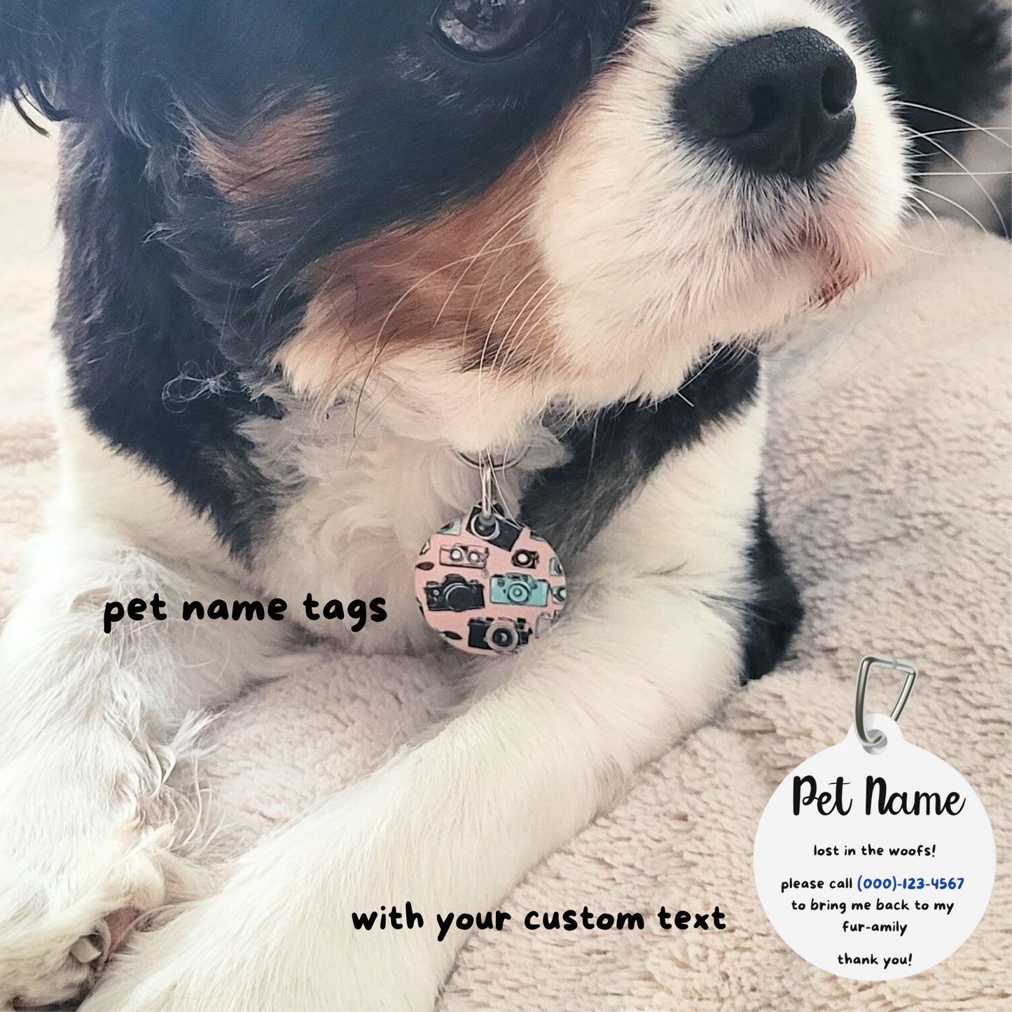 Etiquetas de identificación personalizadas para perros, gatos y otros animales – Feminine Cameras