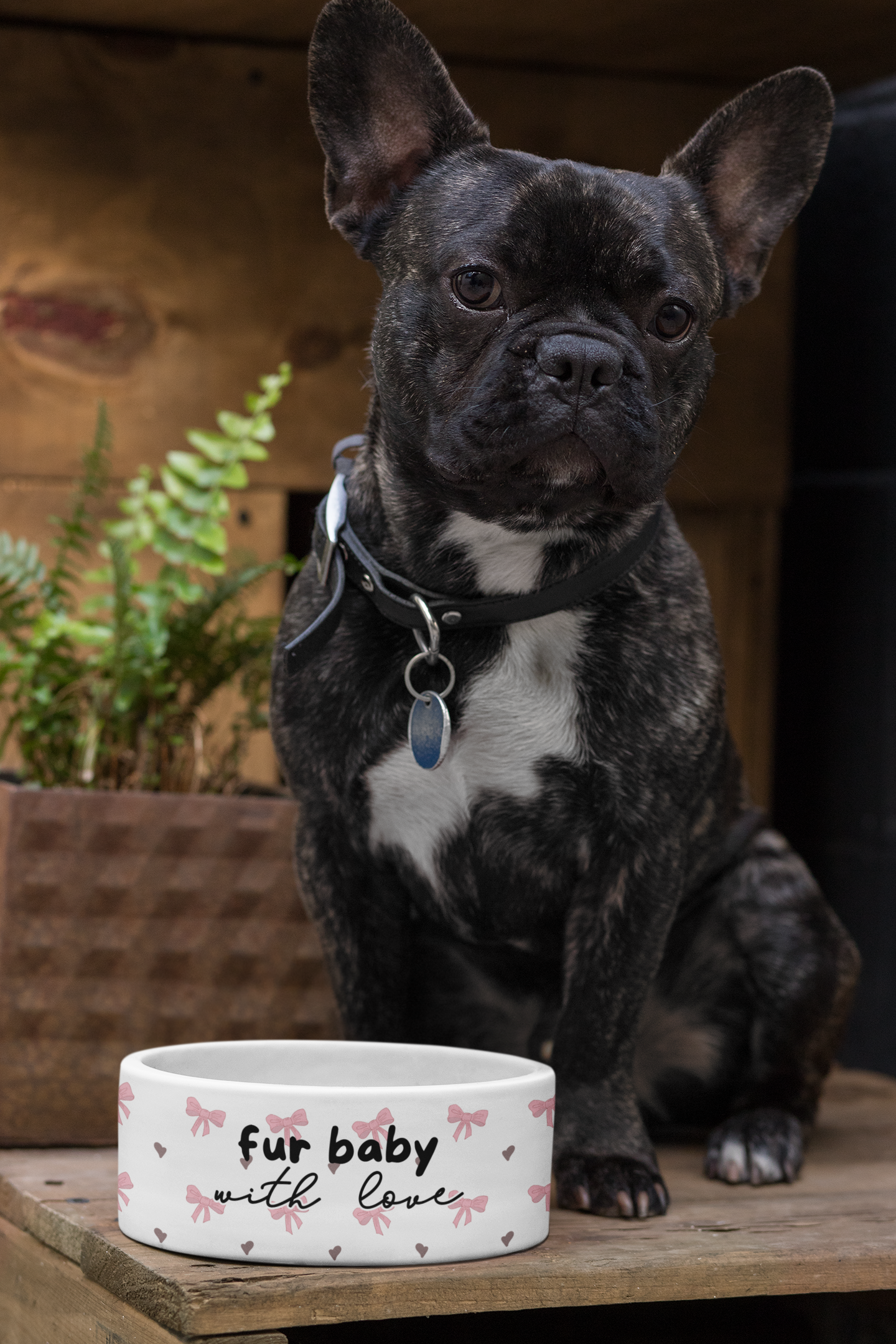 Ensemble de 1 bol en céramique pour chien ou chat avec une tasse assortie - Nœuds