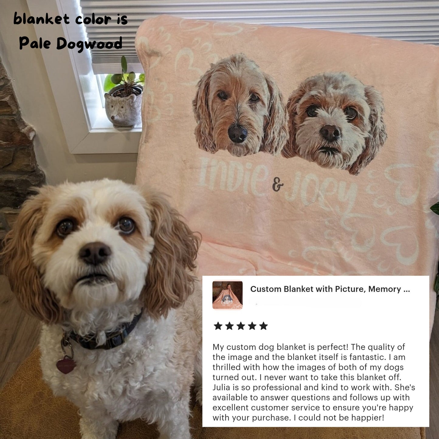 Custom Plush Blanket with Picture – Alice Blue