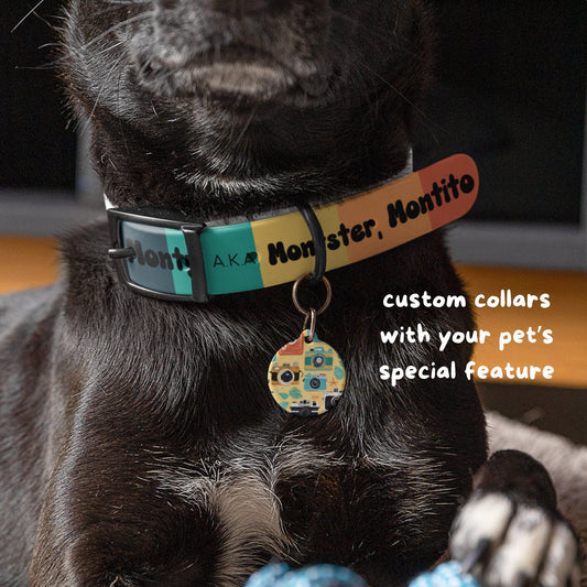 Custom Gradient Dog Collar with Name and Nickname – Groovy Rainbow