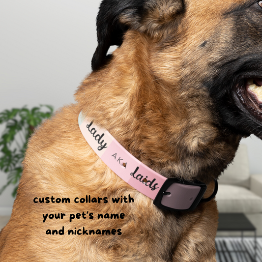 Custom Gradient Dog Collar with Name and Nickname - Pink