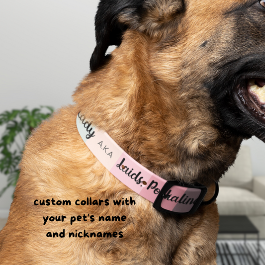 Custom Gradient Dog Collar with Phrase – Cheeky Pink